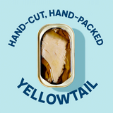 Open can of Wild Yellowtail Fillets In Extra Virgin Olive Oil