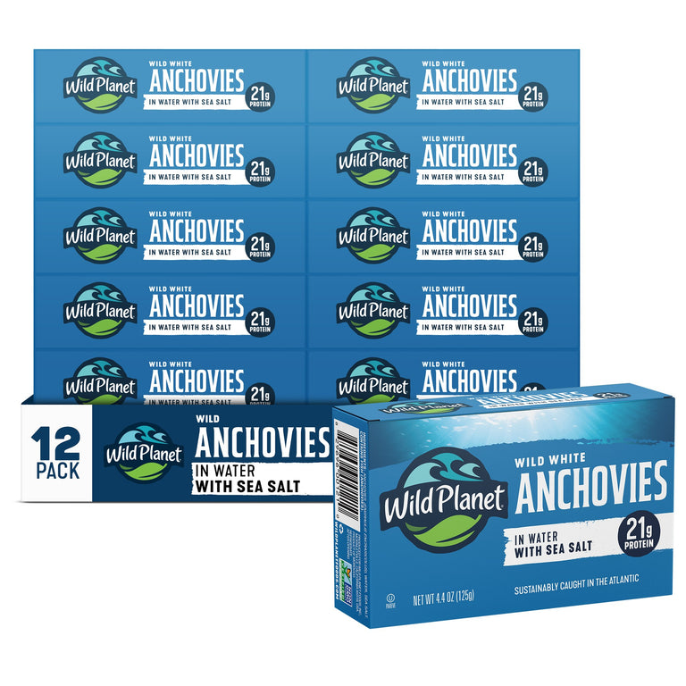 Wild White Anchovies In Water