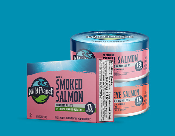 Salmon