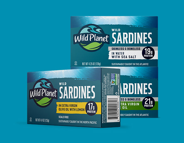 Sardines
