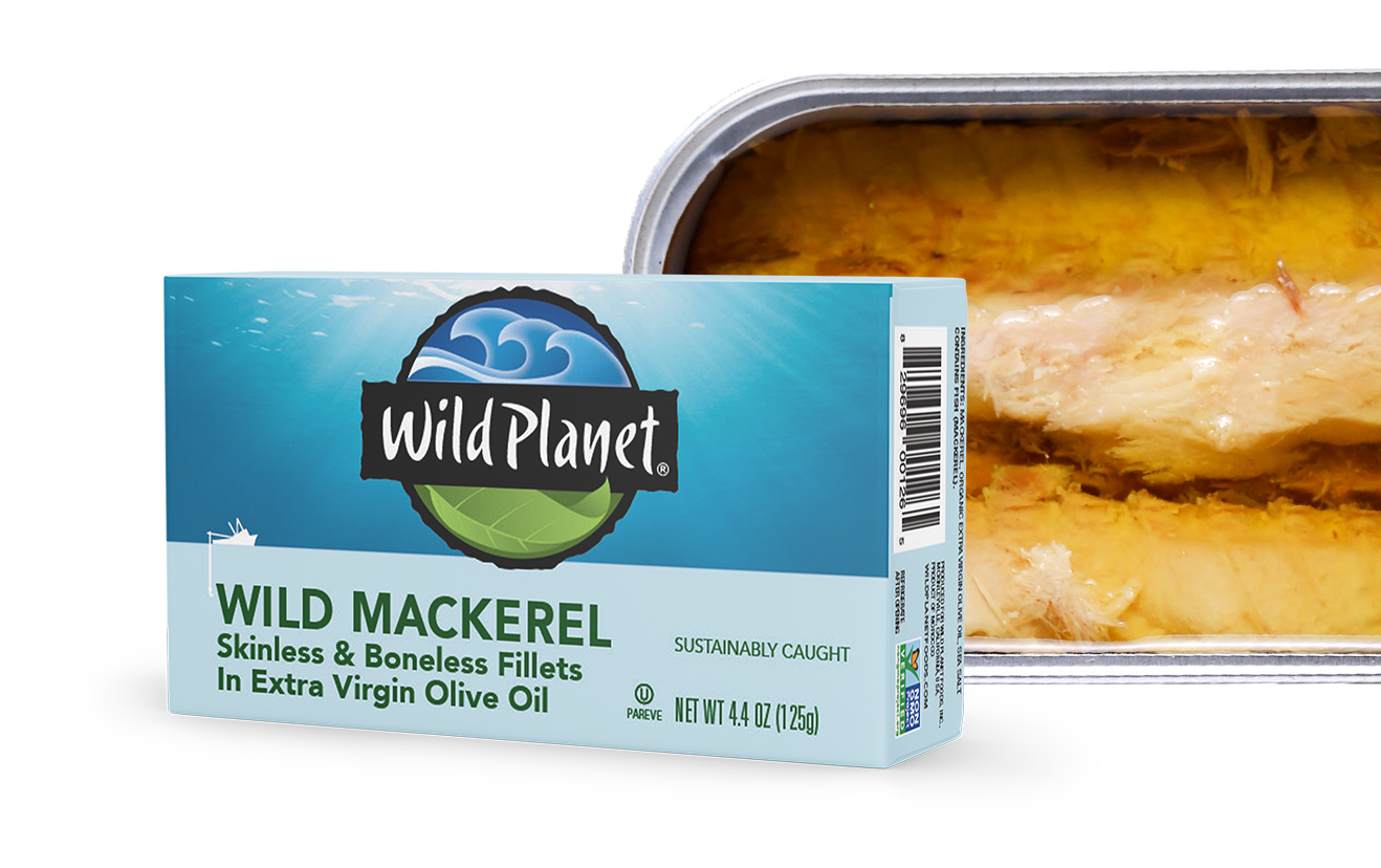 Mackerel