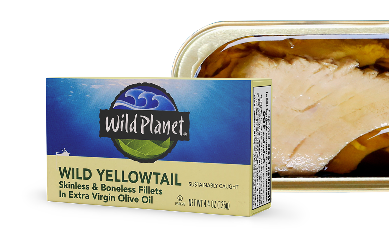 Yellowtail