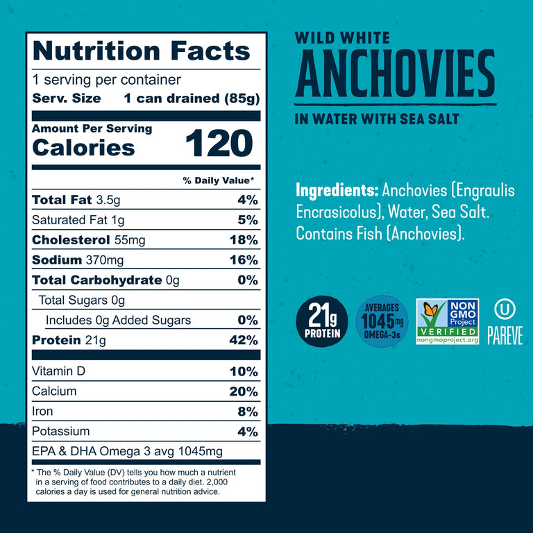 Wild White Anchovies In Water