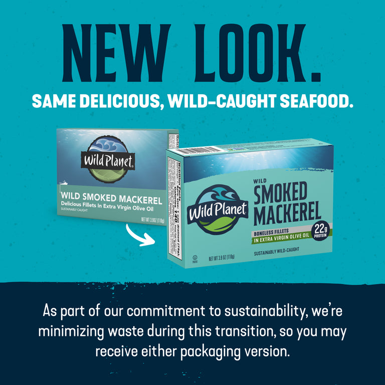 Wild Smoked Mackerel Fillets in Extra Virgin Olive Oil