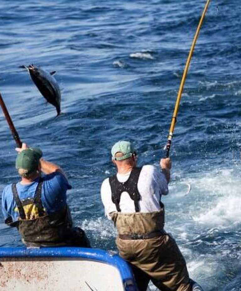 Two men pole and line fishing from the back of a boat.