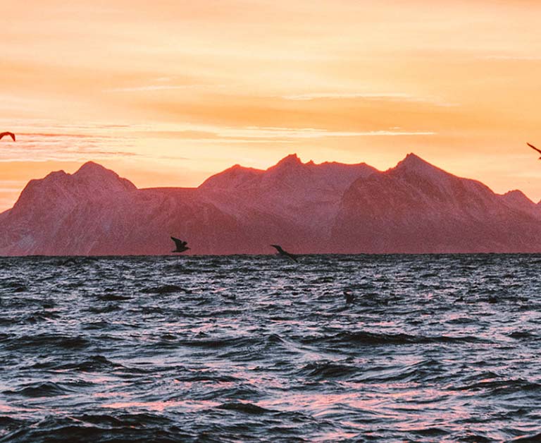 Fishing boat on the ocean at sunrise