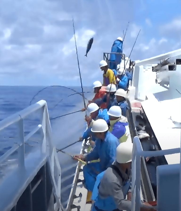 Snap Shot of Fishermen doing Line-Caught