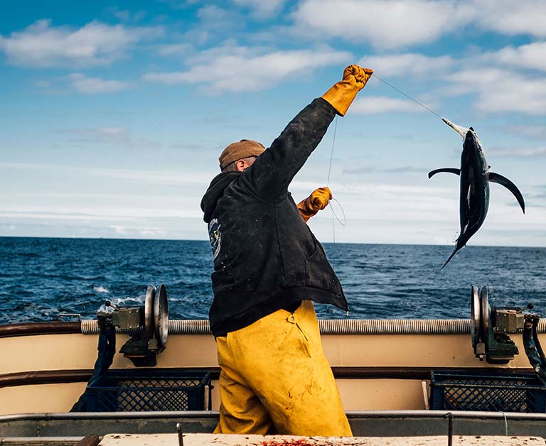 Man catching a fish