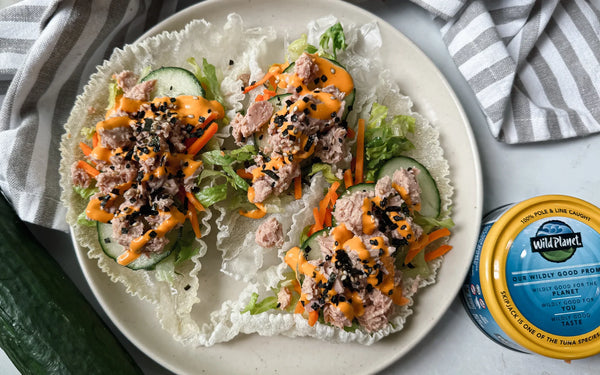 Spicy Tuna Crispy Rice Paper Tacos