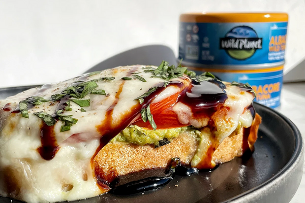 Pesto Caprese Tuna Melt