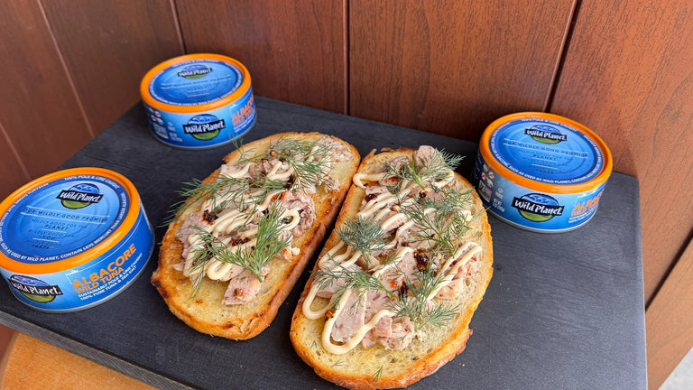 Photo of Dill Tuna Toast