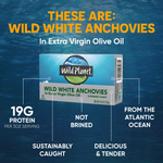 Wild White Anchovies In Extra Virgin Olive Oil