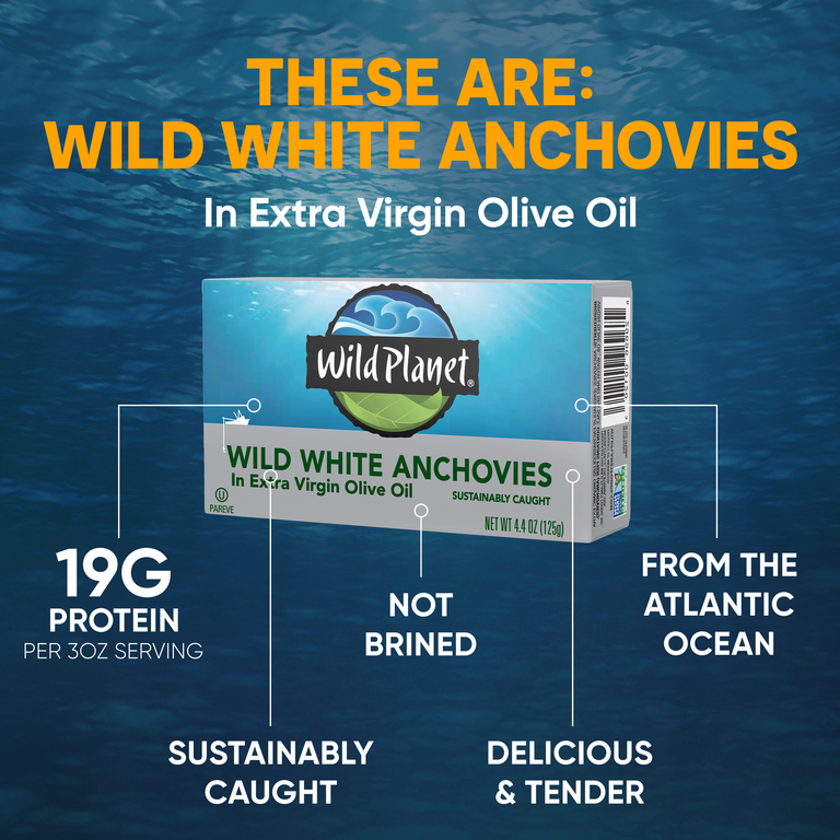 Wild White Anchovies In Extra Virgin Olive Oil