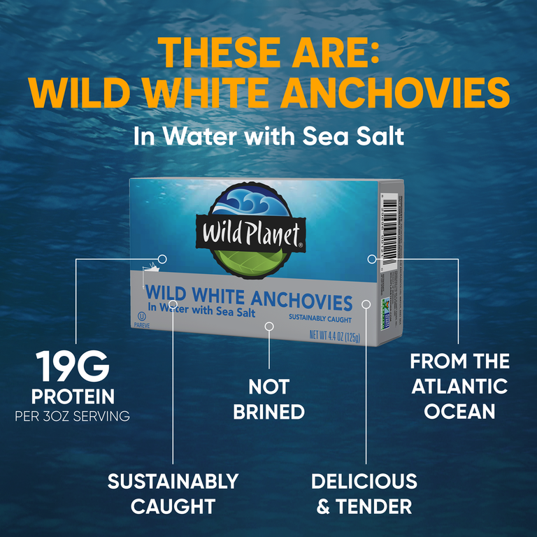 Wild White Anchovies In Water