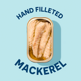 Open can of Wild Mackerel Fillets In Extra Virgin Olive Oil