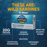 Wild Sardines Skinless & Boneless Fillets In Water