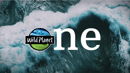 There is only one Wild Planet image with wave behind Wild Planet logo with the word one spelled out.