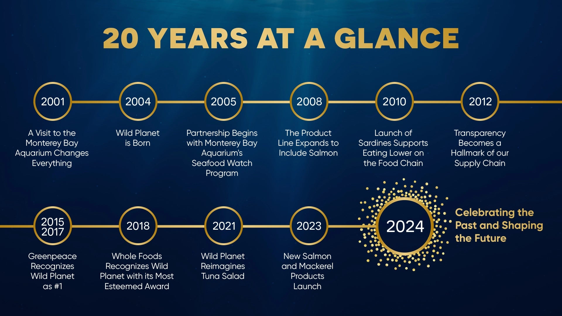 Wild Planet - 20 years at a glance in 2024