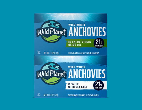 Anchovies