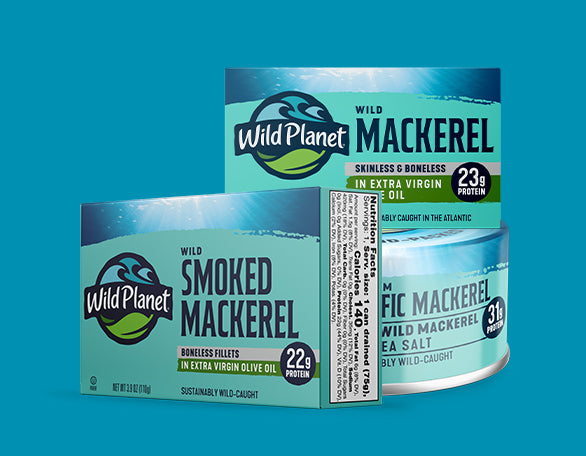 Mackerel