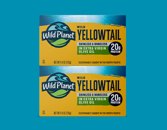 Yellowtail