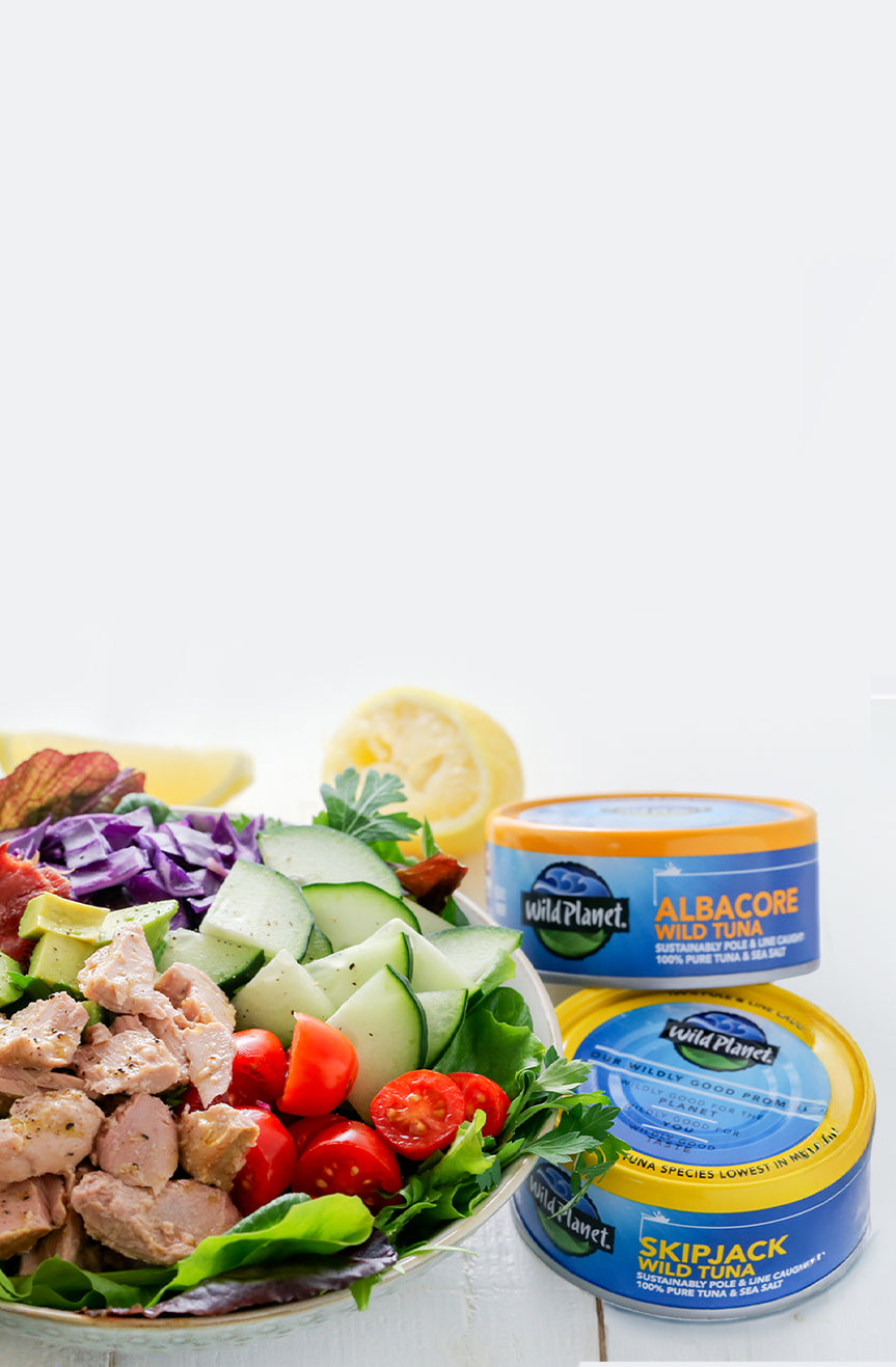 Wild Planet Foods office