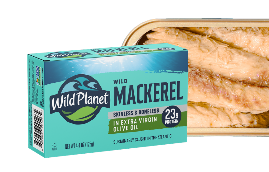 Mackerel 