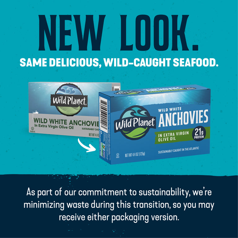 Wild White Anchovies In Extra Virgin Olive Oil