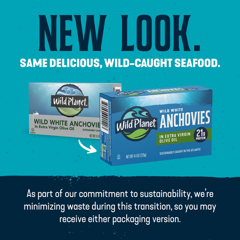 Wild White Anchovies In Extra Virgin Olive Oil