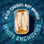 Wild White Anchovies In Extra Virgin Olive Oil