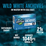 Wild White Anchovies In Water