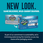 Wild White Anchovies In Water