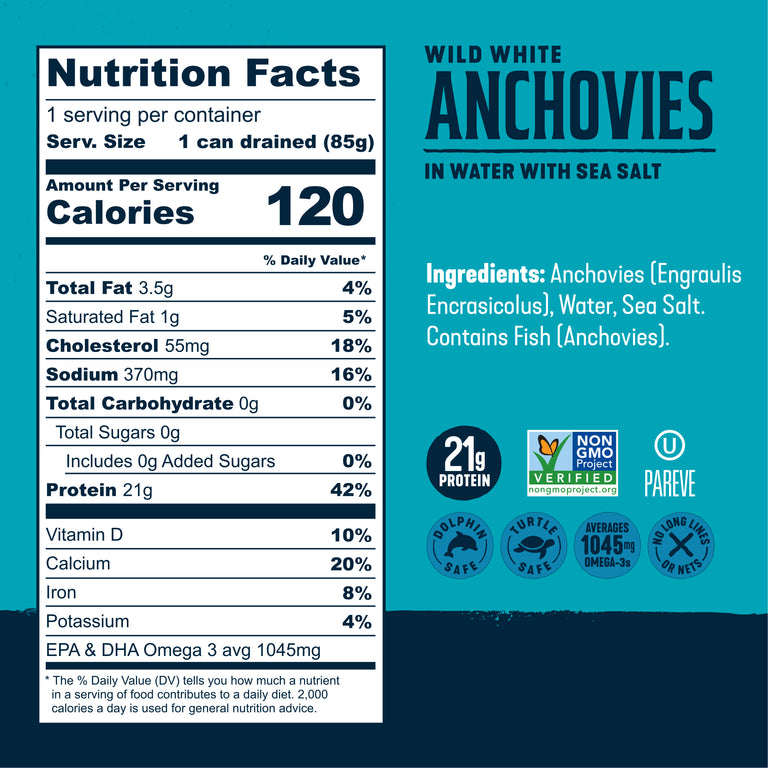 Wild White Anchovies In Water