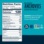 Wild White Anchovies In Water