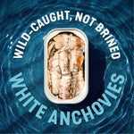 Wild White Anchovies In Water