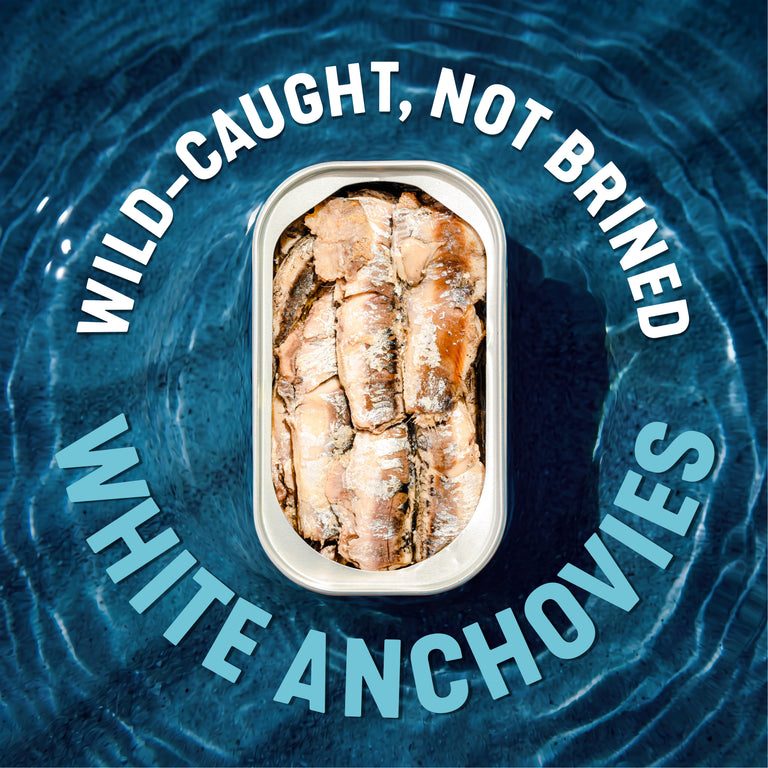 Wild White Anchovies In Water