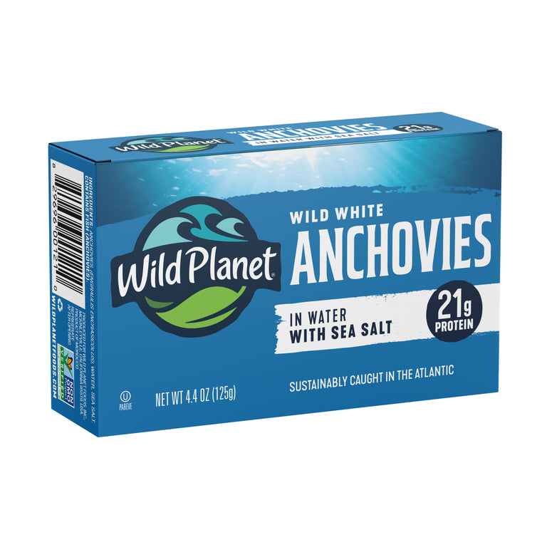 Wild White Anchovies In Water