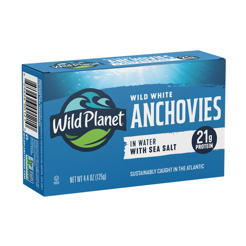 Wild White Anchovies In Water