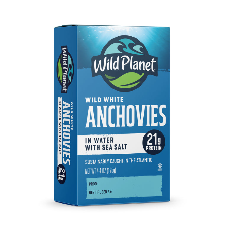 Wild White Anchovies In Water