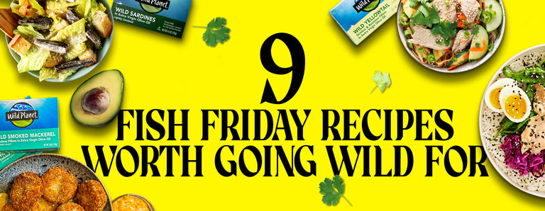 9 Fish Friday Meals: Recipes Worth Going Wild For