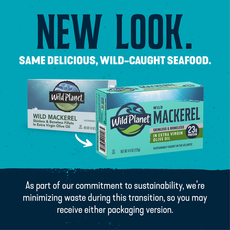 Wild Mackerel Fillets In Extra Virgin Olive Oil