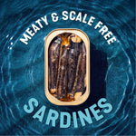 Wild Sardines In Extra Virgin Olive Oil