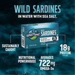 Wild Sardines In Water