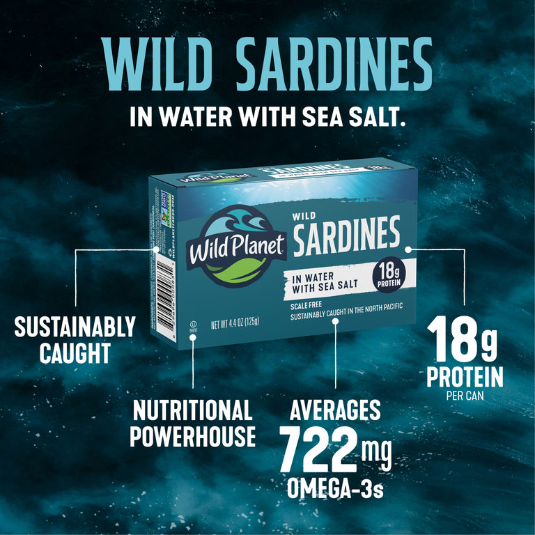 Wild Sardines In Water