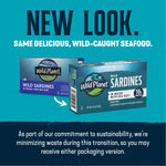 Wild Sardines In Water