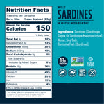 Wild Sardines In Water