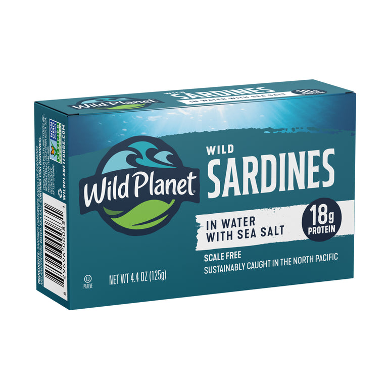 Wild Sardines In Water