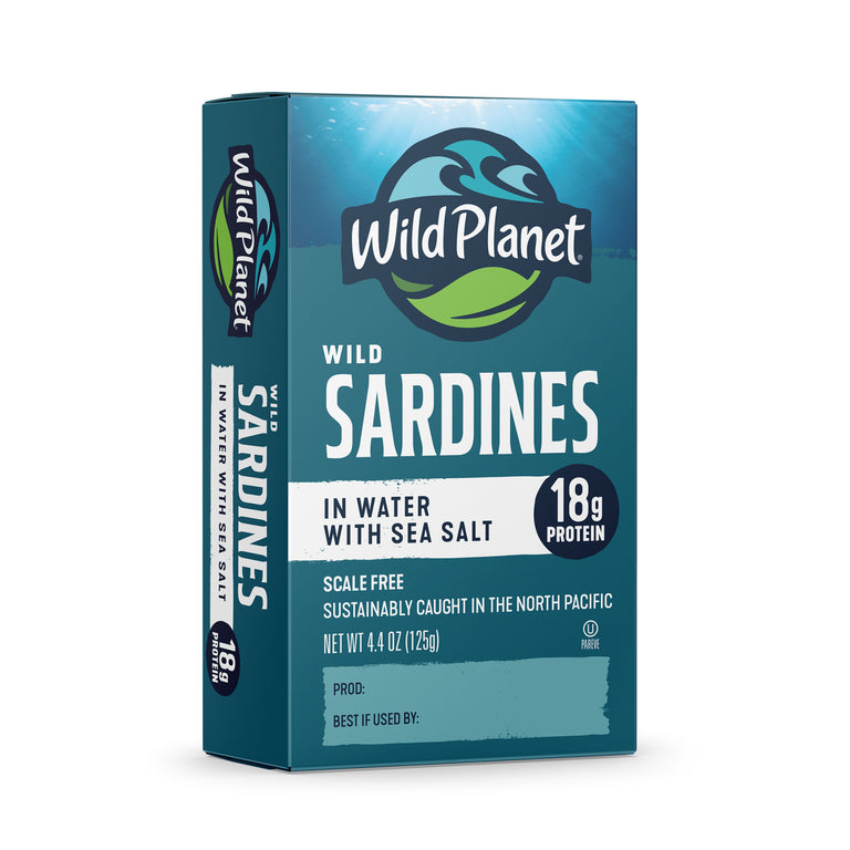 Wild Sardines In Water