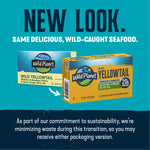 Wild Yellowtail Fillets In Extra Virgin Olive Oil