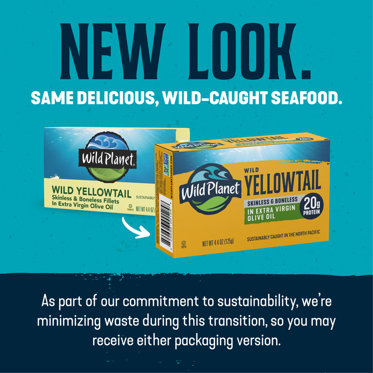 Wild Yellowtail Fillets In Extra Virgin Olive Oil